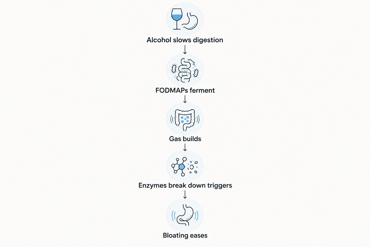 Five-step flow showing how alcohol leads to bloating and where enzymes intervene