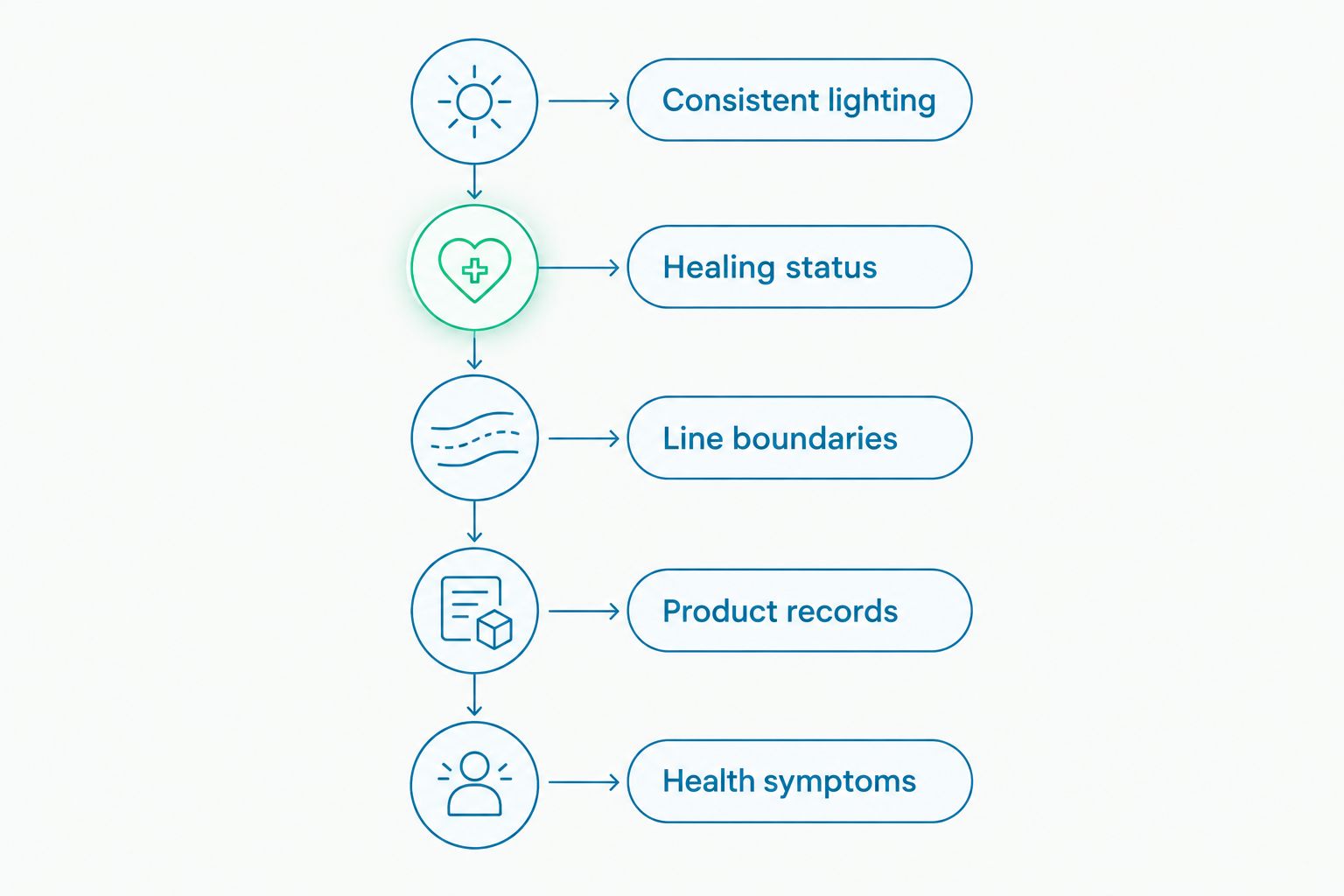 Assessment steps from consistent lighting to product records and health symptoms