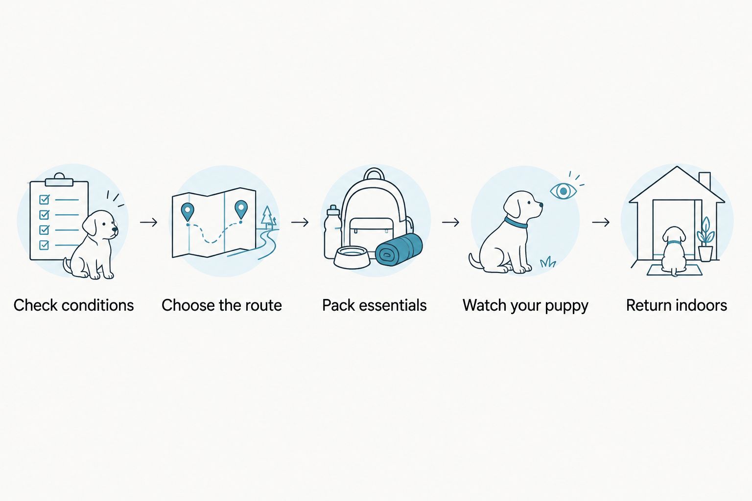 Five steps for planning a supervised Goldendoodle outing in hot weather