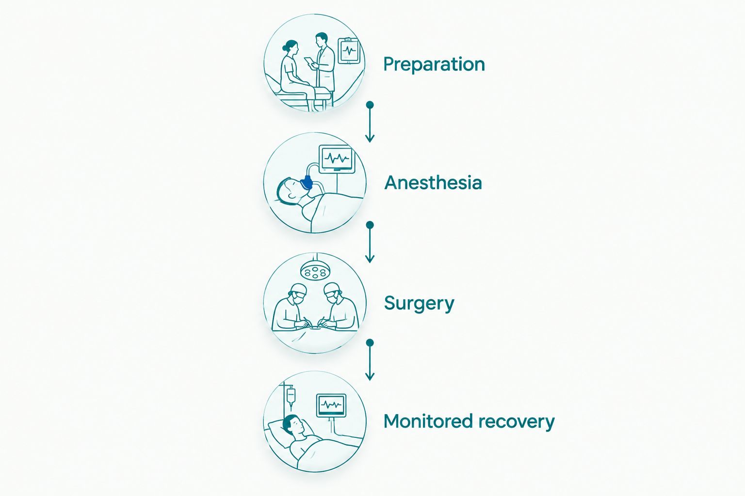 Surgery-day timeline showing preparation, anesthesia, surgery, and monitored recovery.