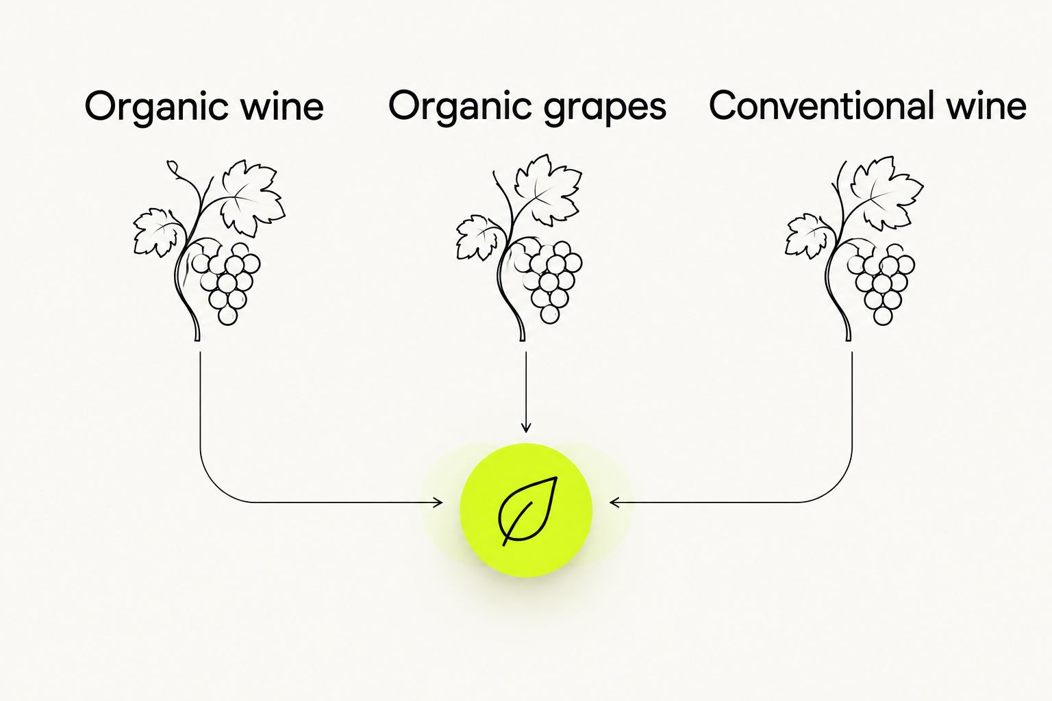 Three wine label categories: organic wine, organic grapes, and conventional wine