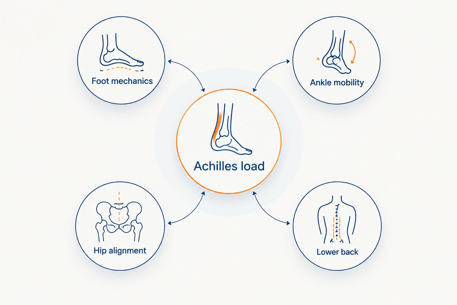 Diagram showing foot, ankle, hip and lower back feeding into Achilles load