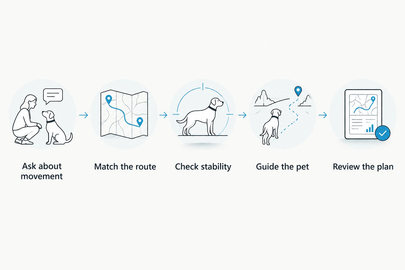 Sequence for assessing a pet-stair route from movement history through review