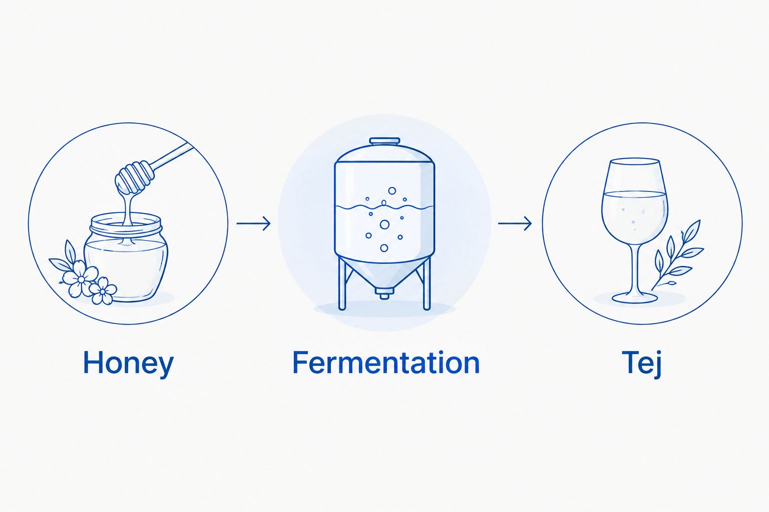 Honey passes through fermentation to become alcoholic tej