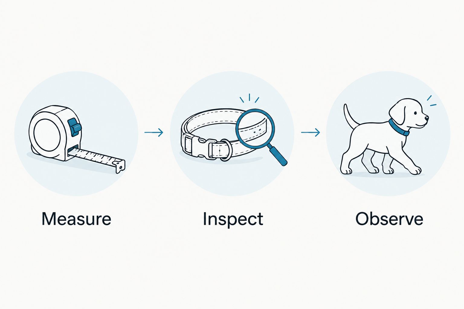Three harness fit checks: measure the puppy, inspect the straps, and observe movement.
