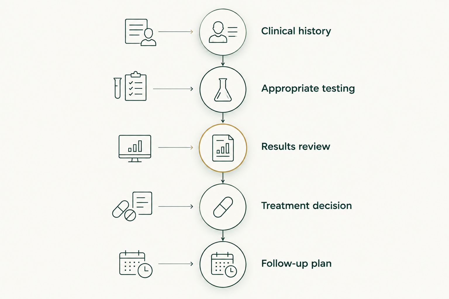 Five phases from clinical history through testing, treatment decisions, and follow-up