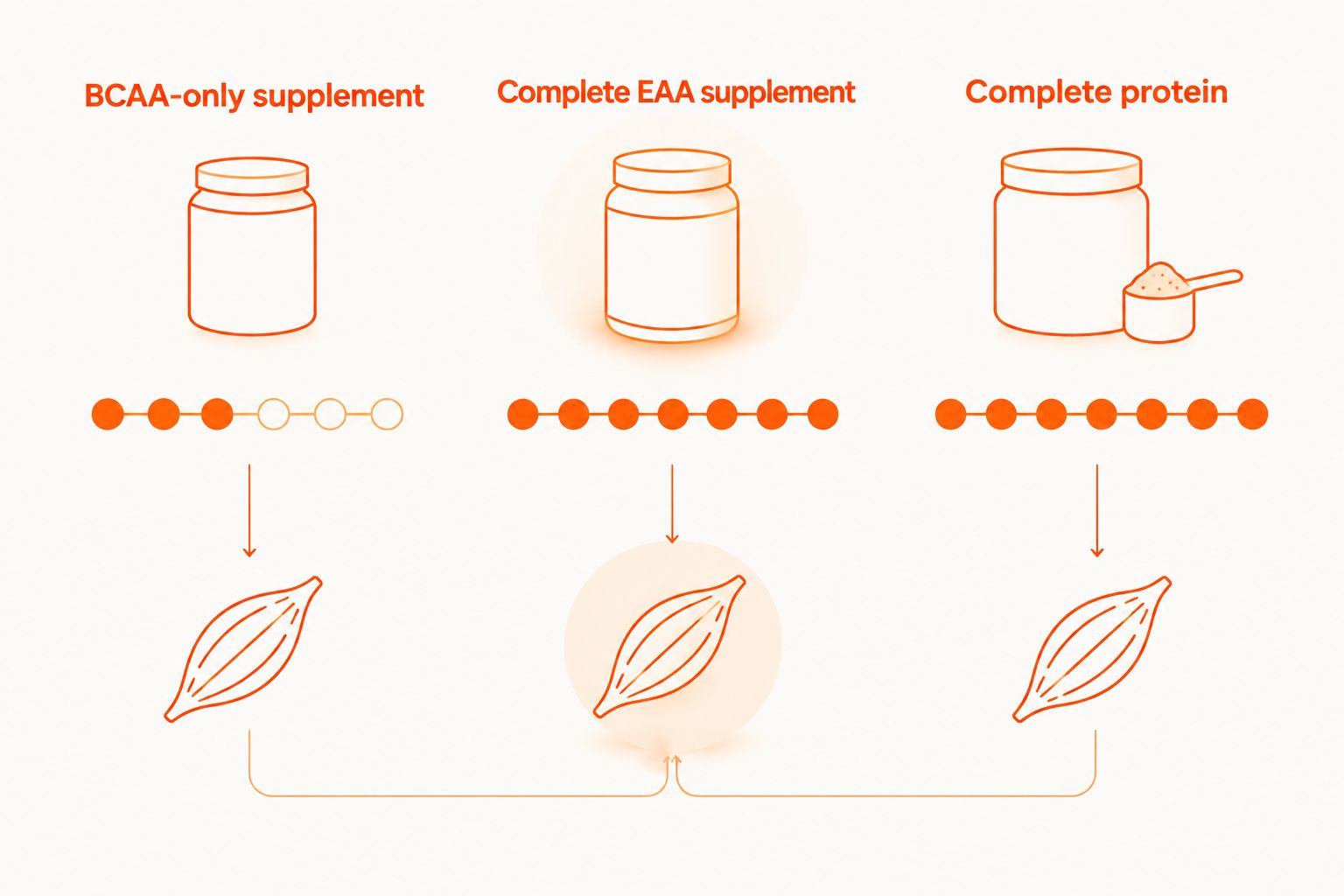 Comparison of BCAA-only supplements, complete EAA supplements, and complete protein