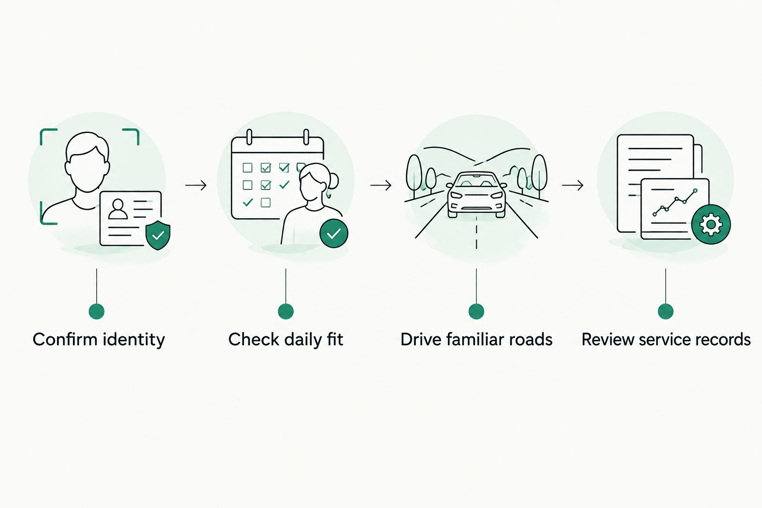 Four checks covering vehicle identity, daily fit, a representative drive, and service records