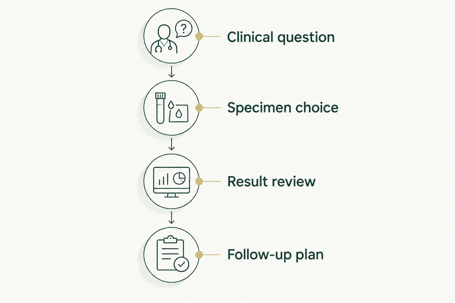 Four steps linking a clinical question to specimen choice, result review, and a follow-up plan