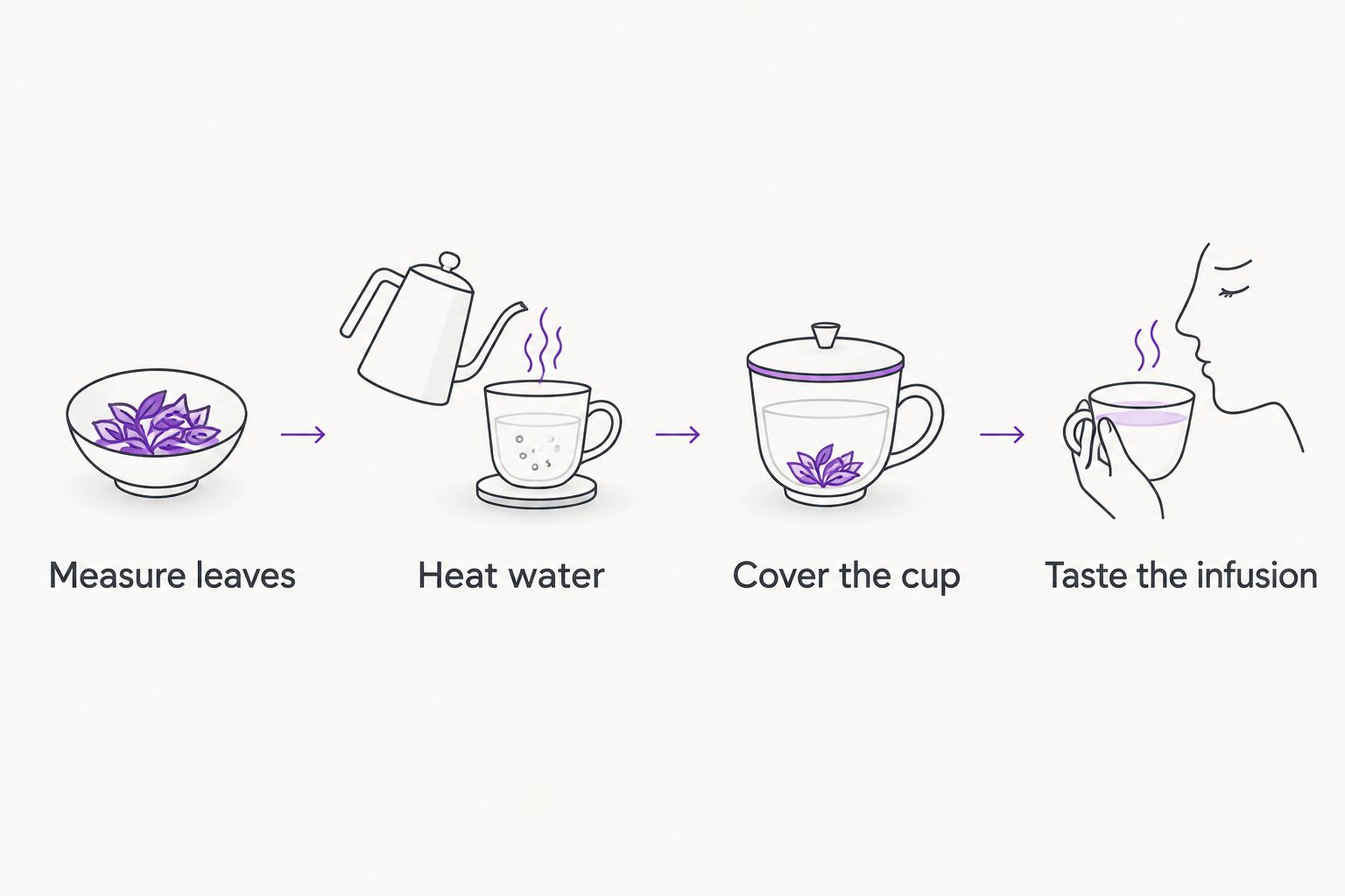 Four brewing steps: measure peppermint, heat water, cover the cup, and taste the infusion.