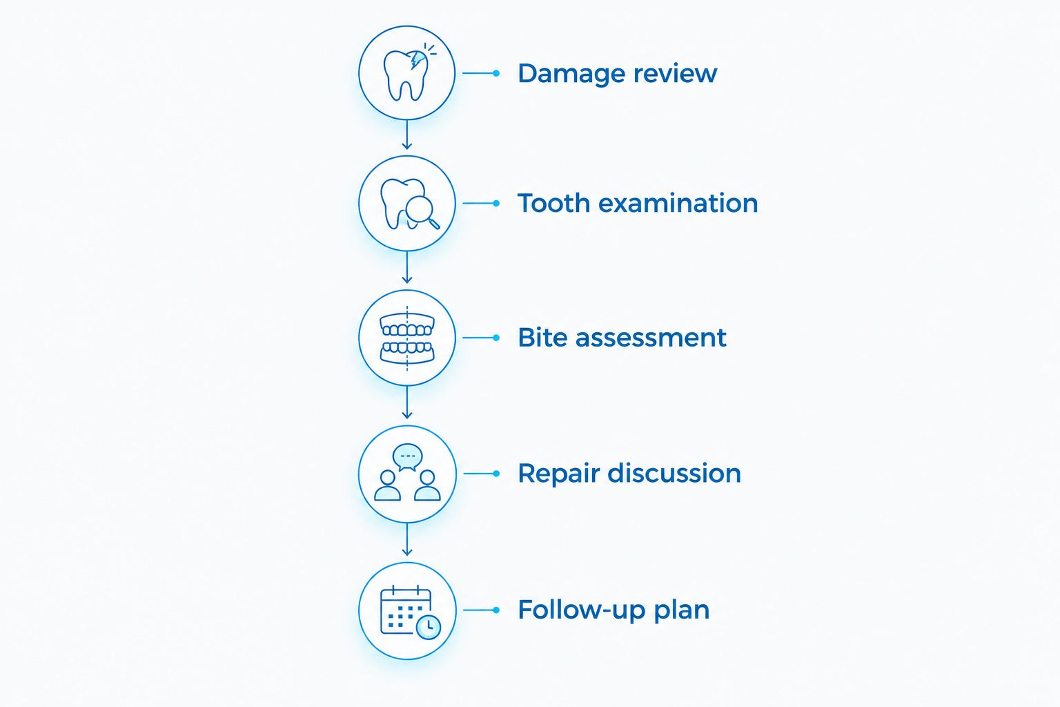 Stages of a chipped-tooth assessment, from reviewing damage to planning follow-up