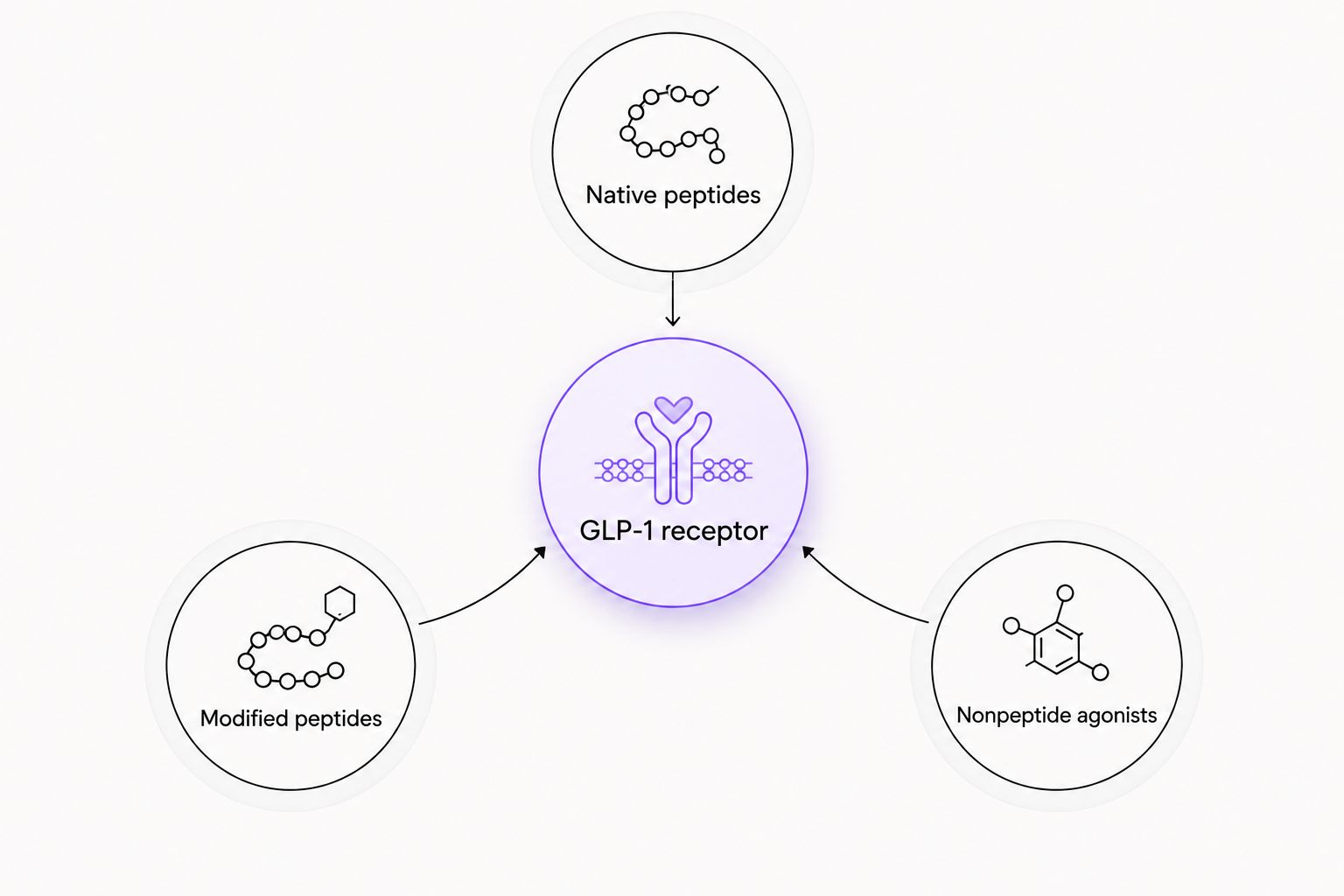 Three molecular classes associated with the GLP-1 receptor