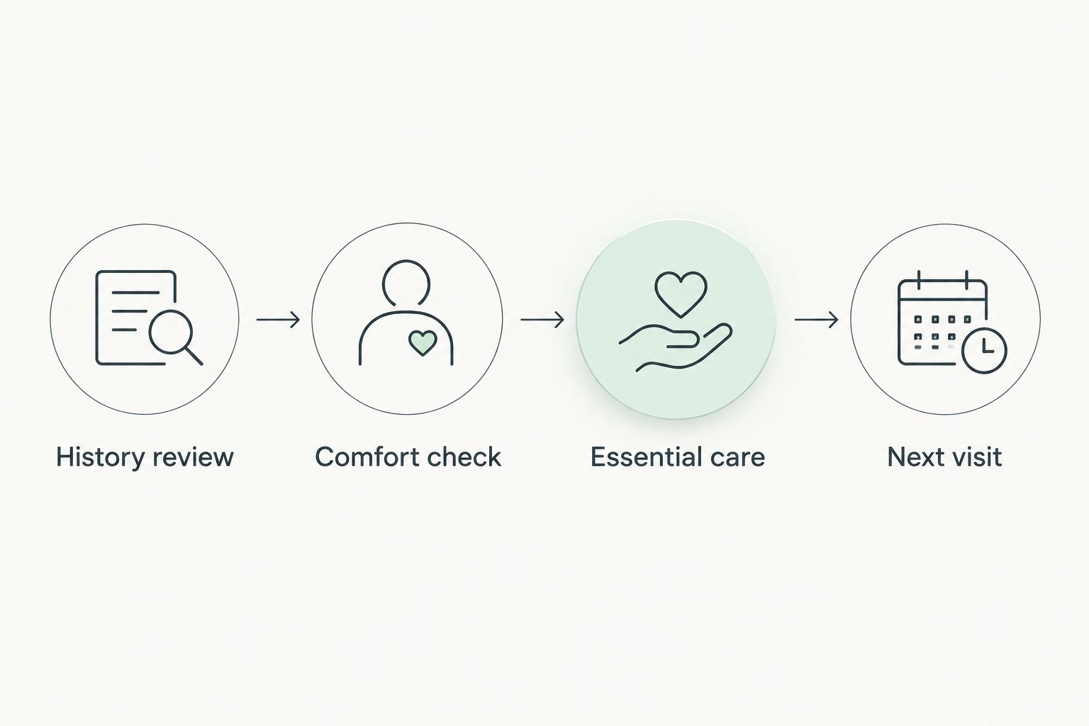 Four planning steps from reviewing grooming history to arranging the next visit