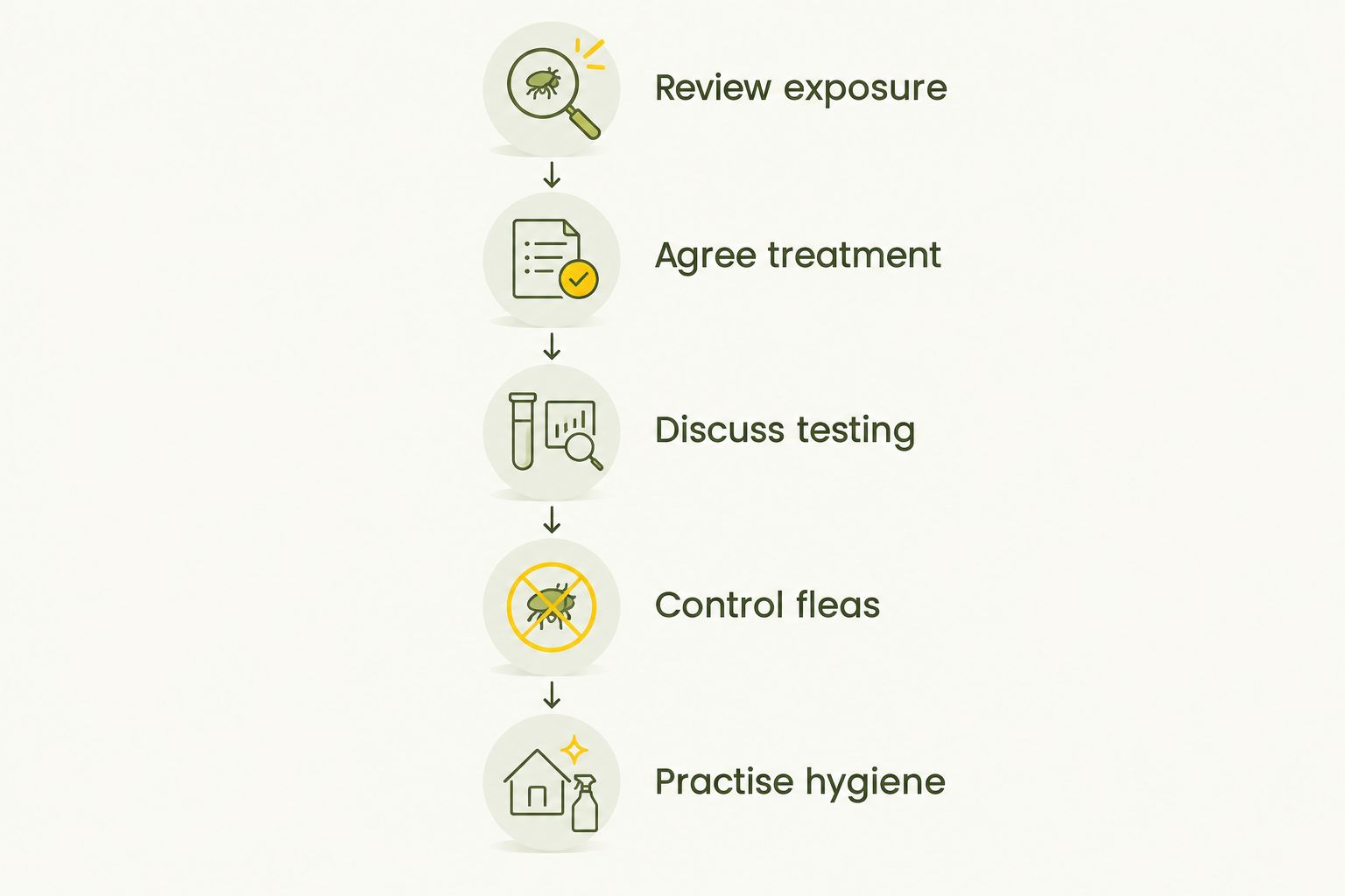 Five steps covering exposure review, veterinary treatment, testing, flea control and hygiene