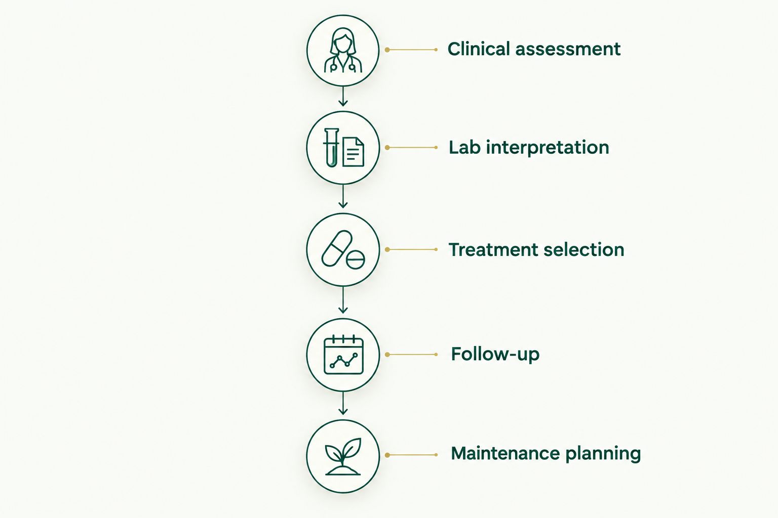 Five phases of medical weight-loss care from clinical assessment through maintenance planning