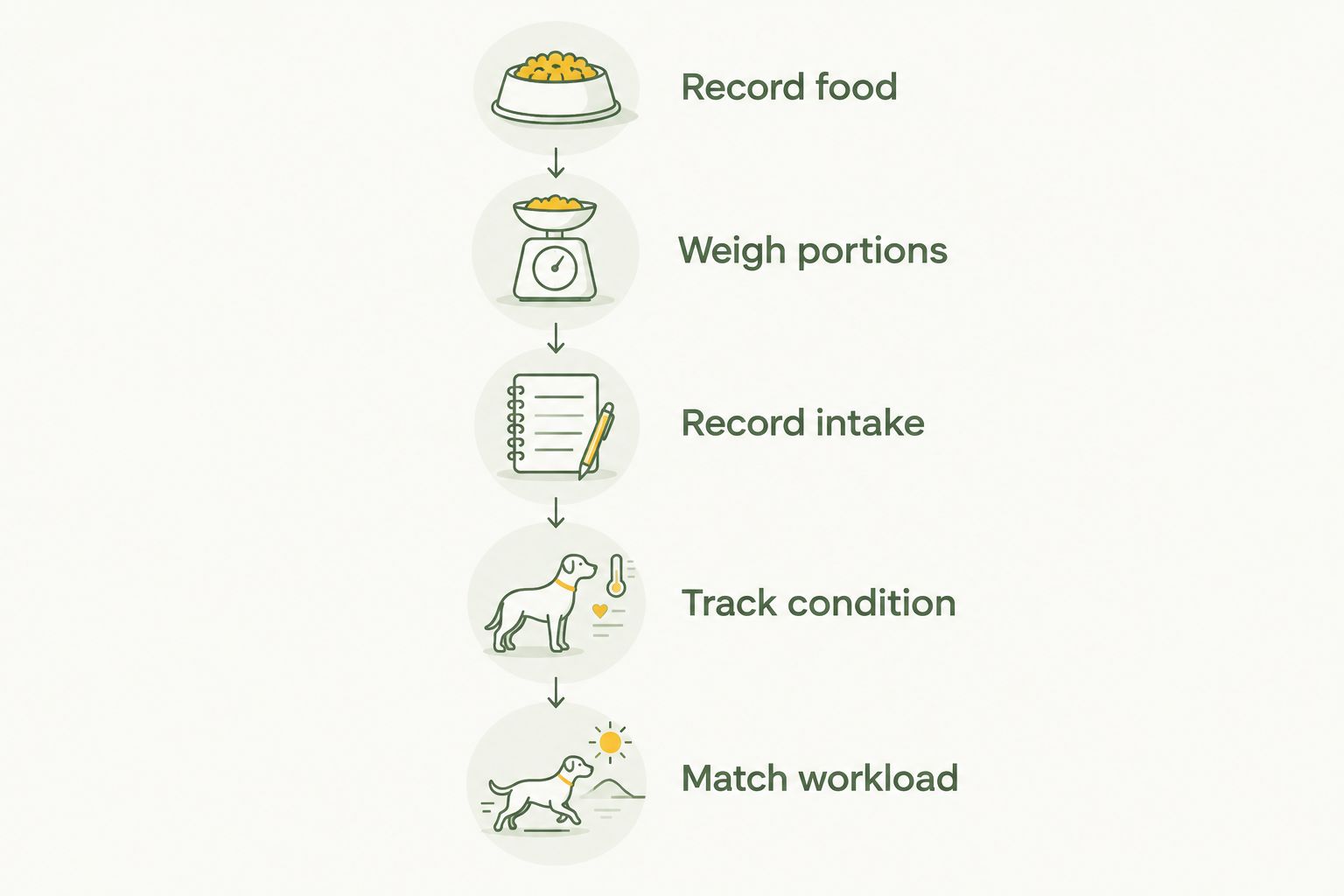 Five steps for checking a working dog's food intake against body condition and workload