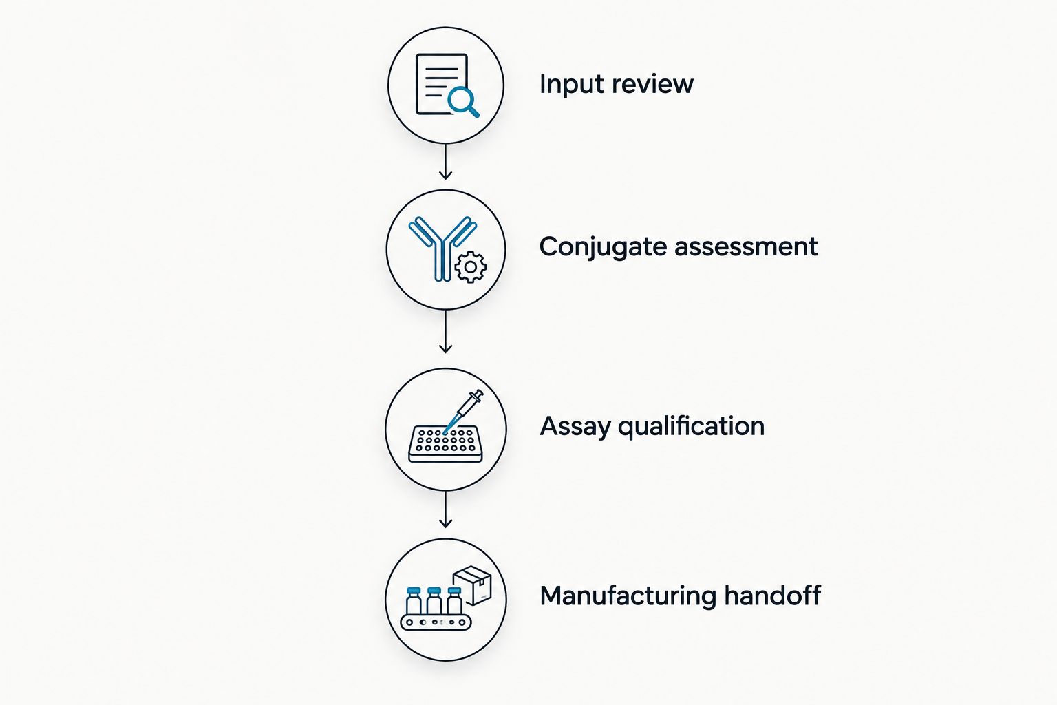 Four phases connecting antibody input review to assay qualification and manufacturing handoff