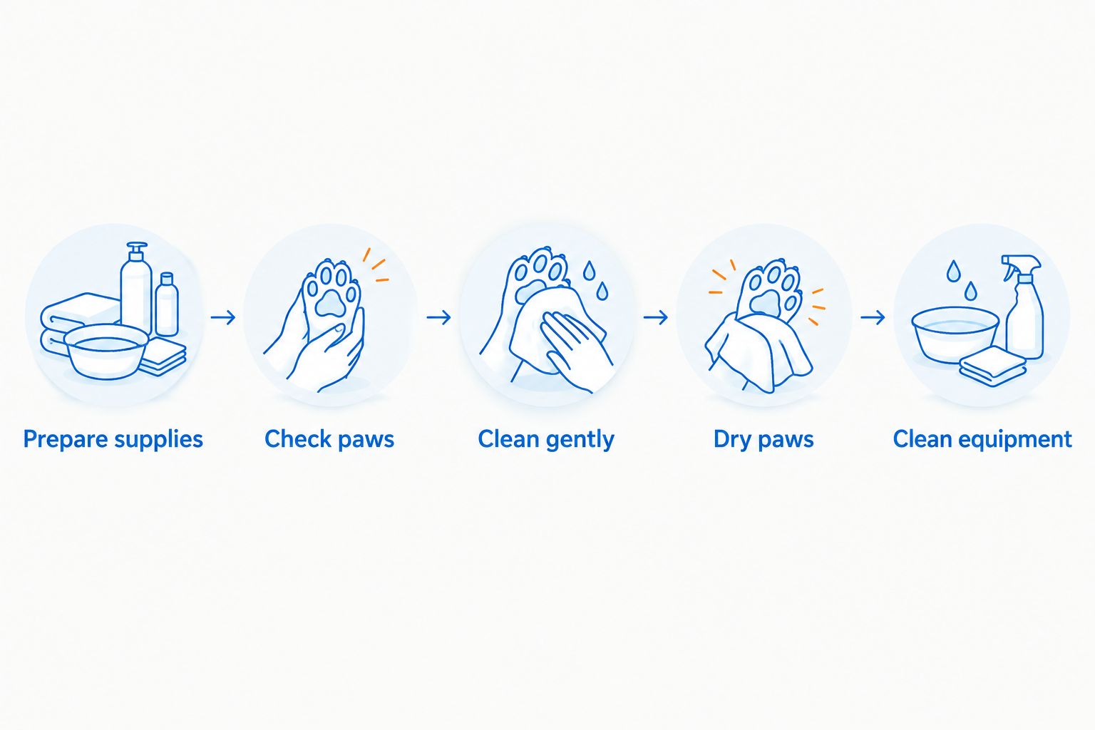 Paw-cleaning routine from preparing supplies to cleaning equipment