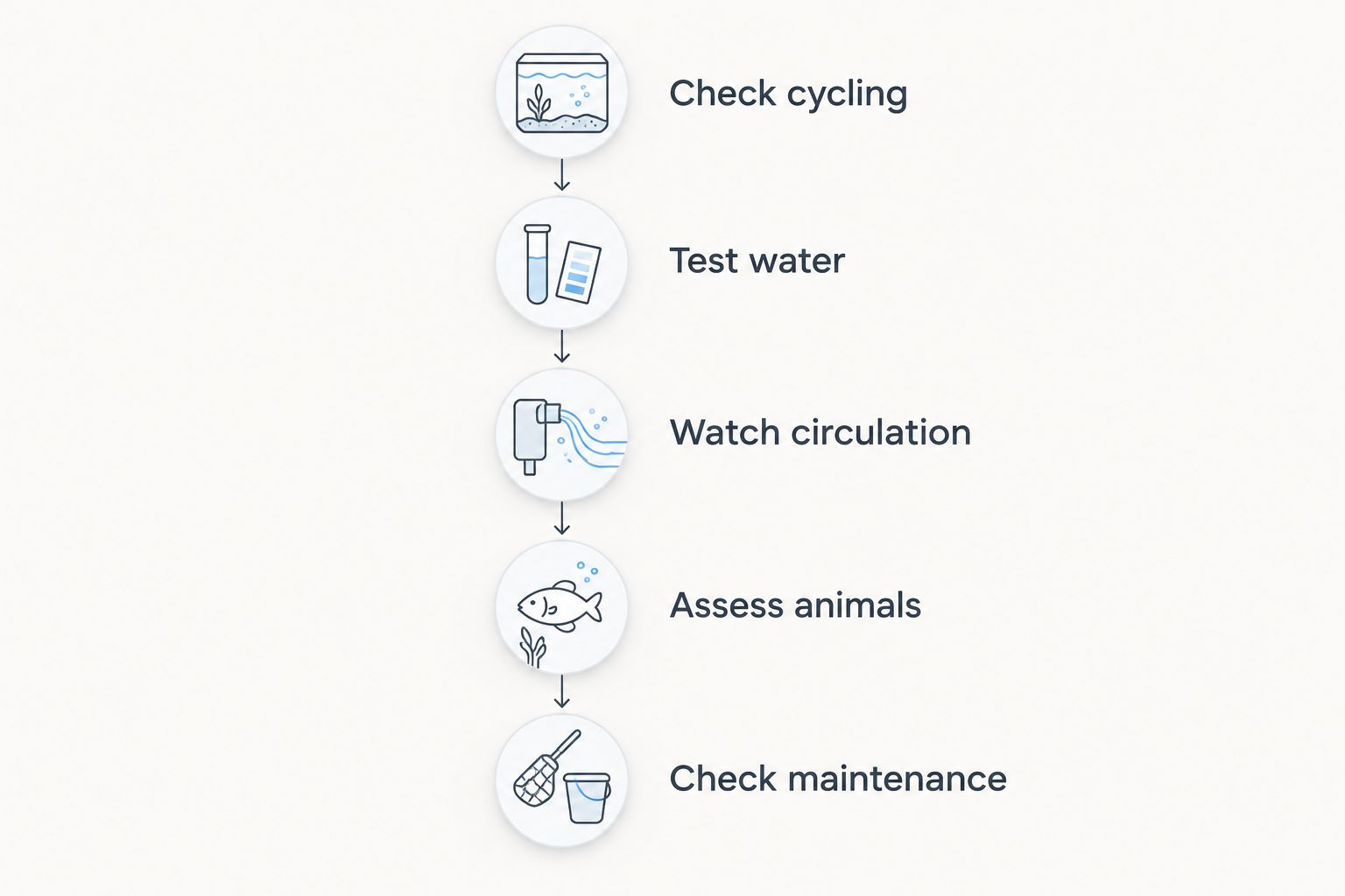 Five checks for deciding whether a sponge filter provides enough aquarium filtration
