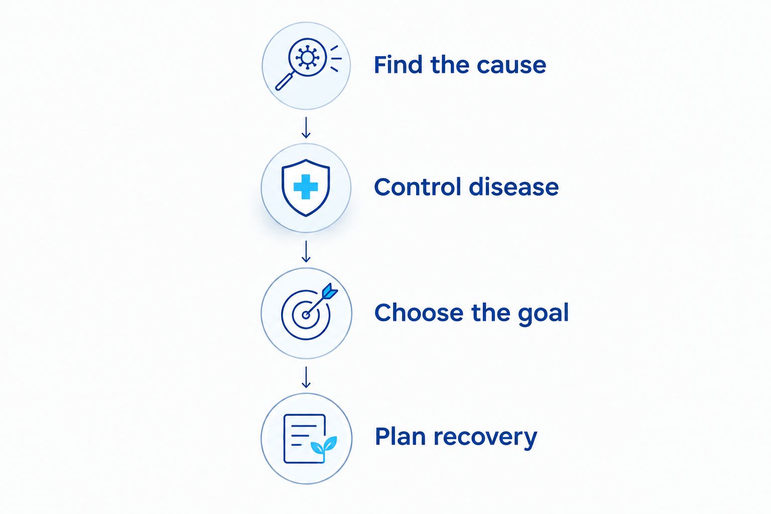 Four steps for choosing recession care, from finding the cause to planning recovery.