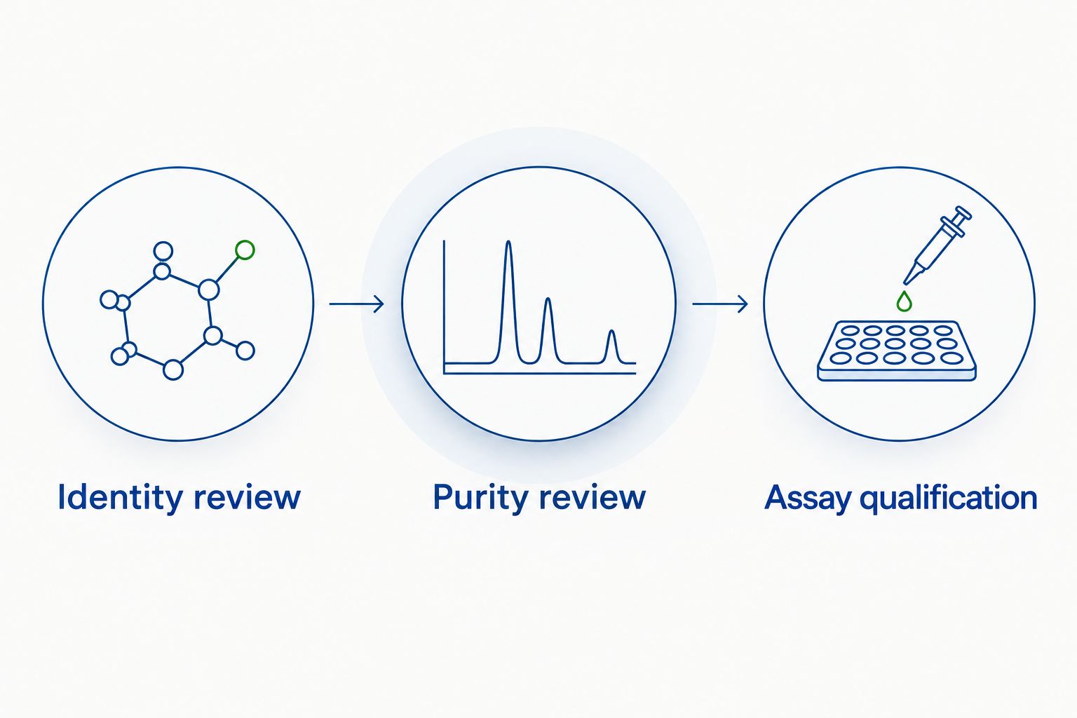 Three review stages covering peptide identity, analytical purity, and assay qualification
