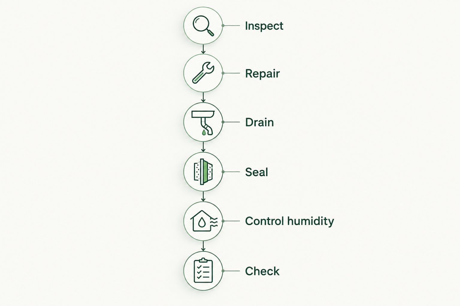 Sequence showing inspection, repairs, drainage, sealing, humidity control and follow-up checks