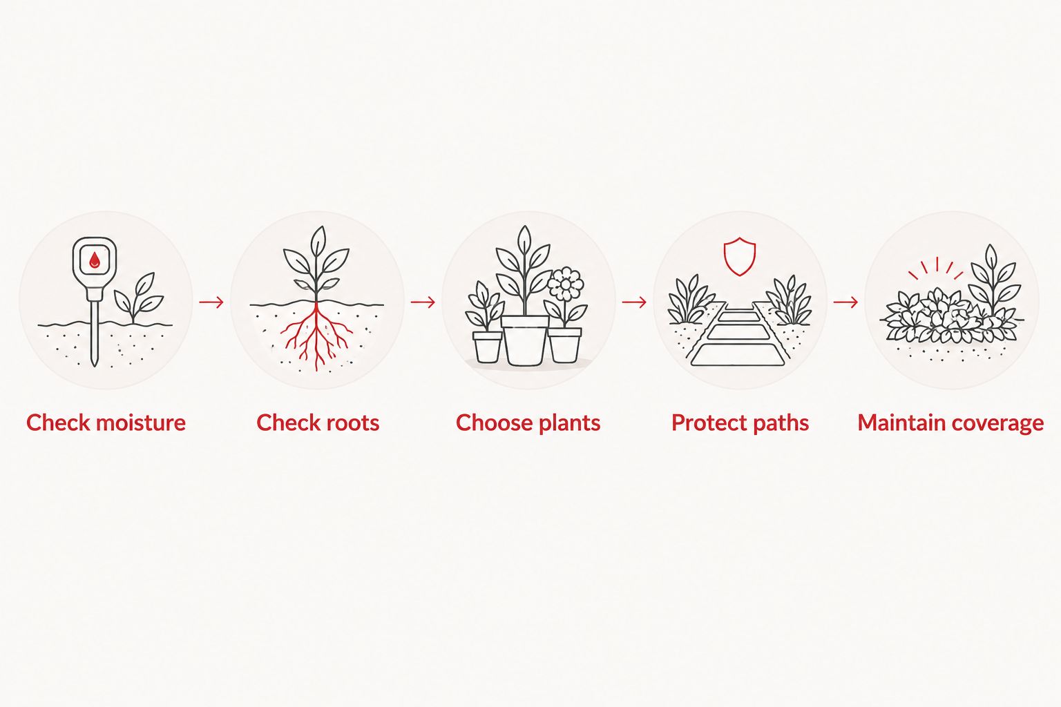 Five planting steps from checking moisture and roots to maintaining ground cover