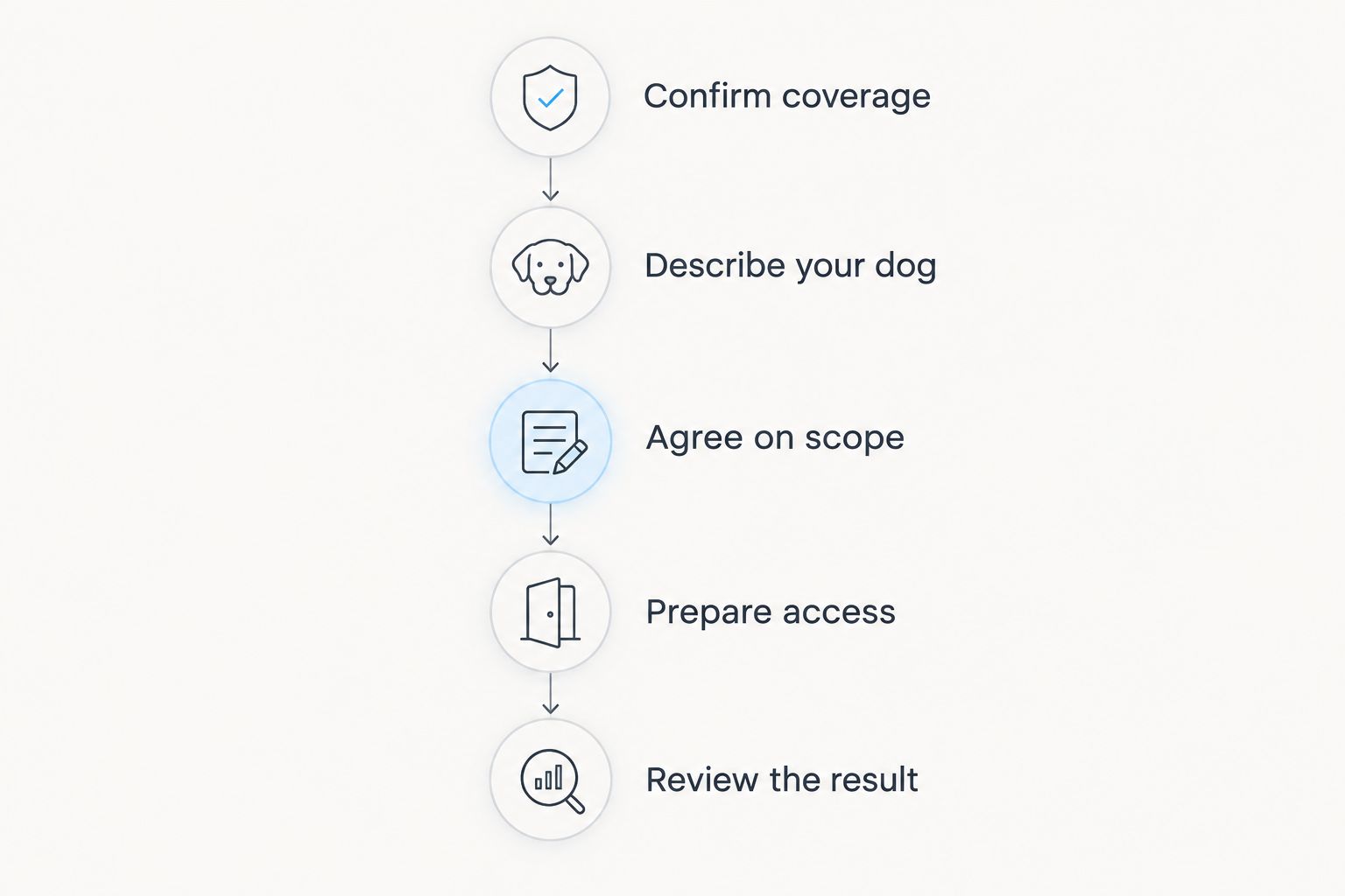 Five stages for choosing and preparing for a mobile dog grooming appointment