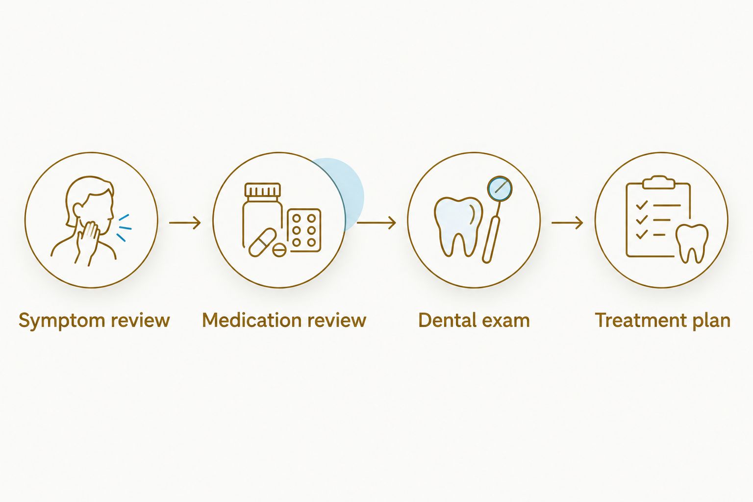 Four parts of a dental appointment: symptom review, medication review, dental exam, and treatment plan