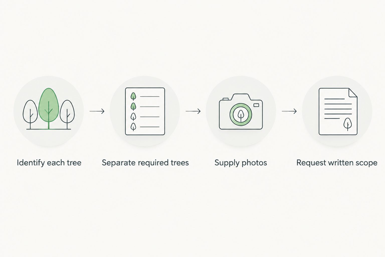Four steps for organizing a multiple-tree removal quote