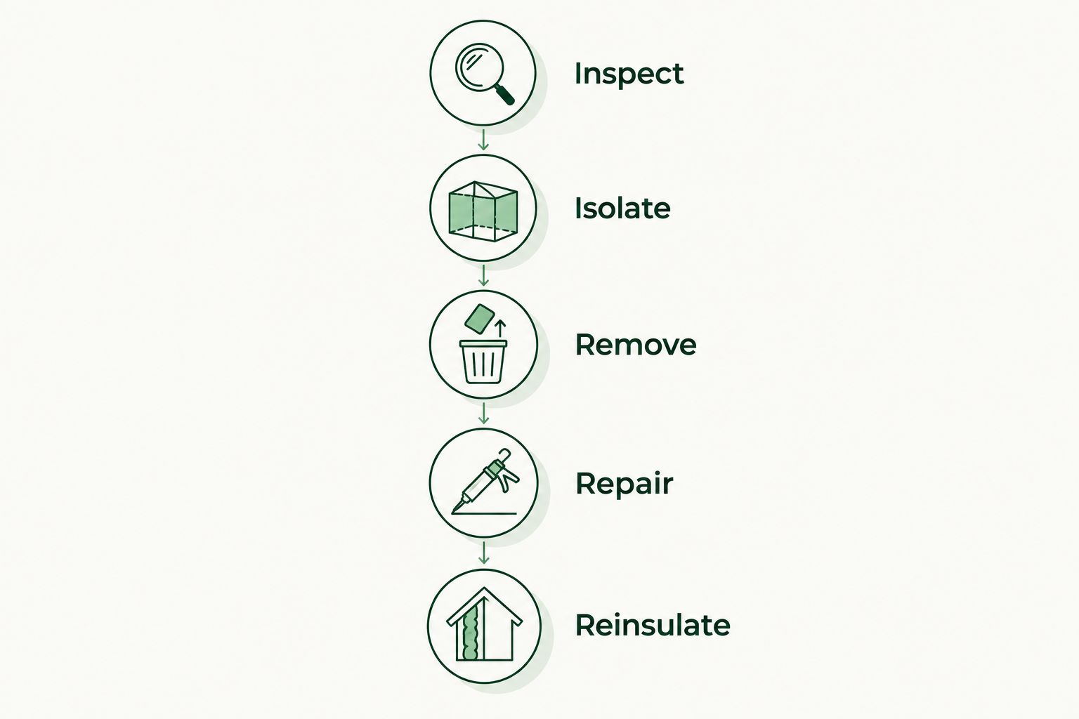 Removal planning sequence: inspect, isolate, remove, repair, and reinsulate.