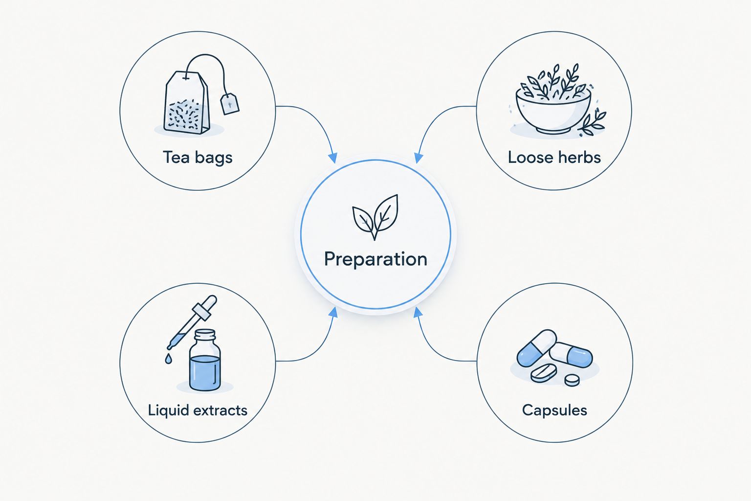 Four herbal preparation formats: tea bags, loose herbs, liquid extracts, and capsules