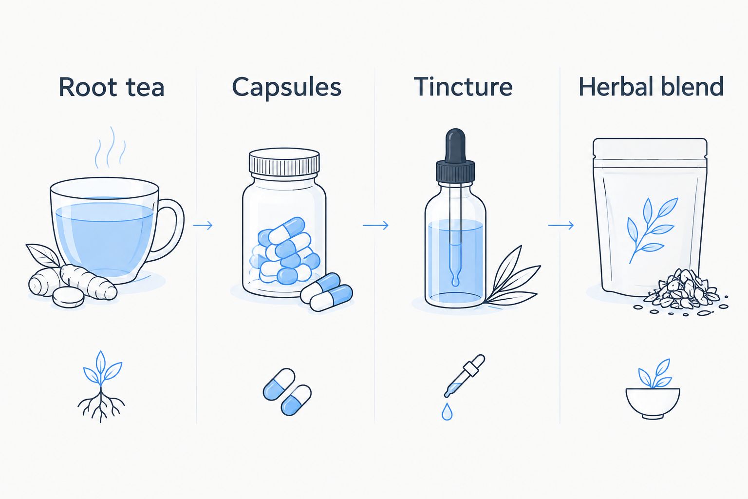 Four-column comparison of burdock root tea, capsules, tincture and herbal blend