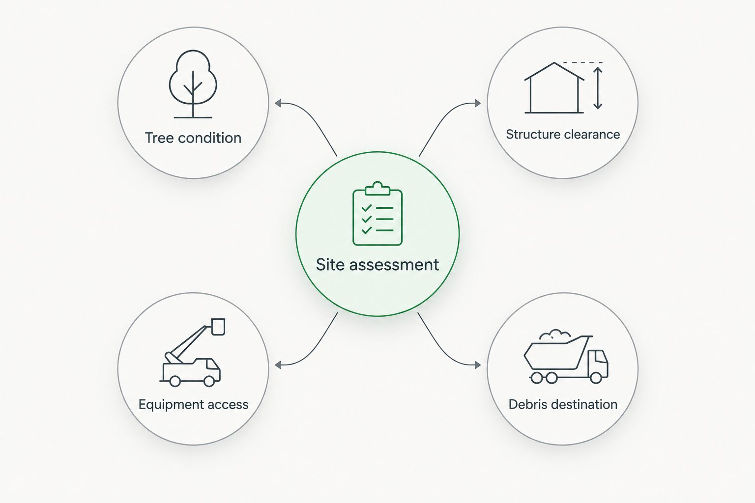 Site assessment connects tree condition, structure clearance, equipment access, and debris destination.