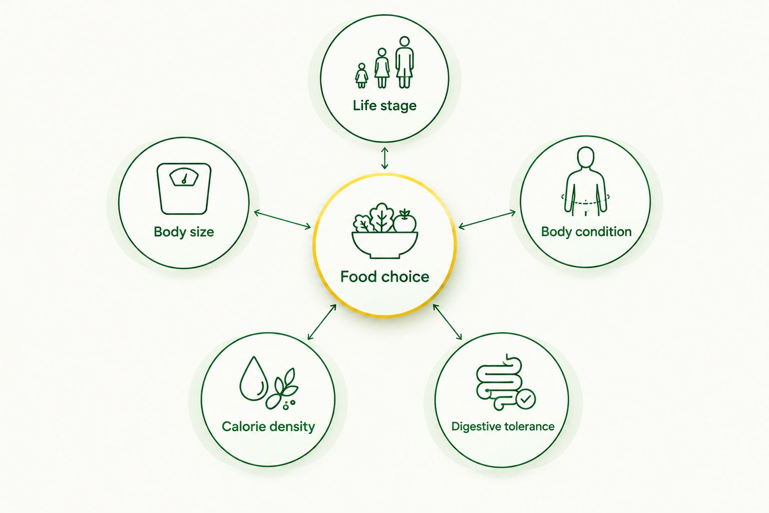 Five checks for choosing dog food: life stage, size, condition, calories, and digestive tolerance.