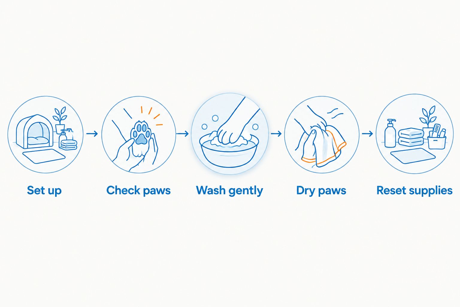 Paw-cleaning sequence from preparing supplies to resetting the station for the next dog