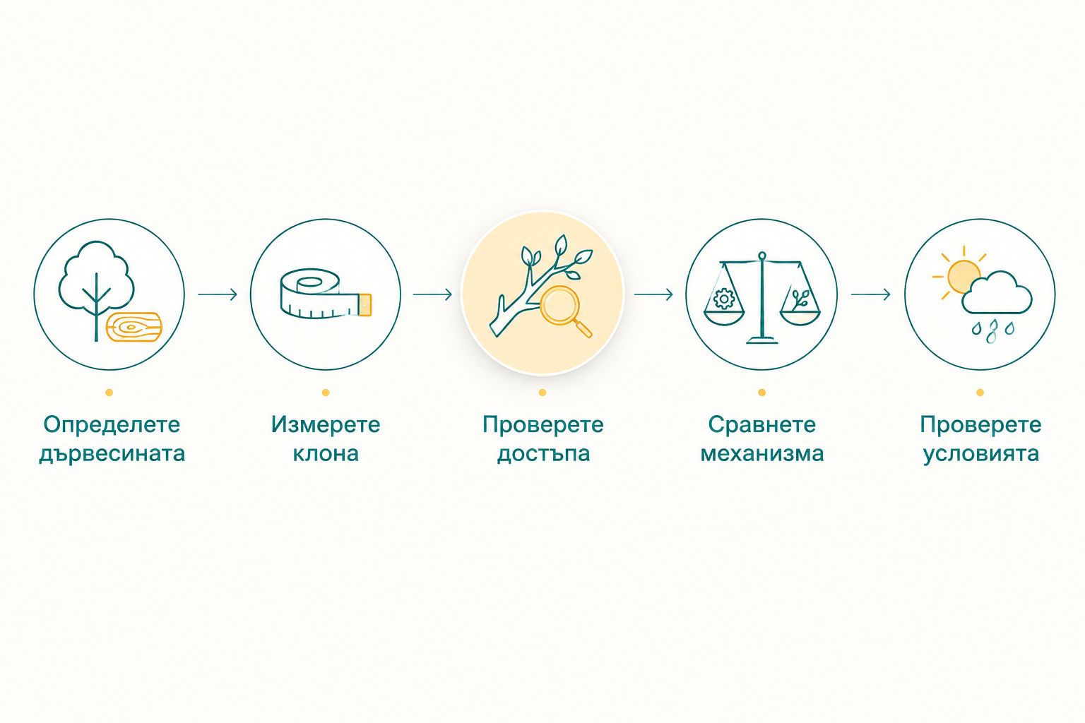 Последователност за избор на ножица според дървесината, клона, достъпа, механизма и условията