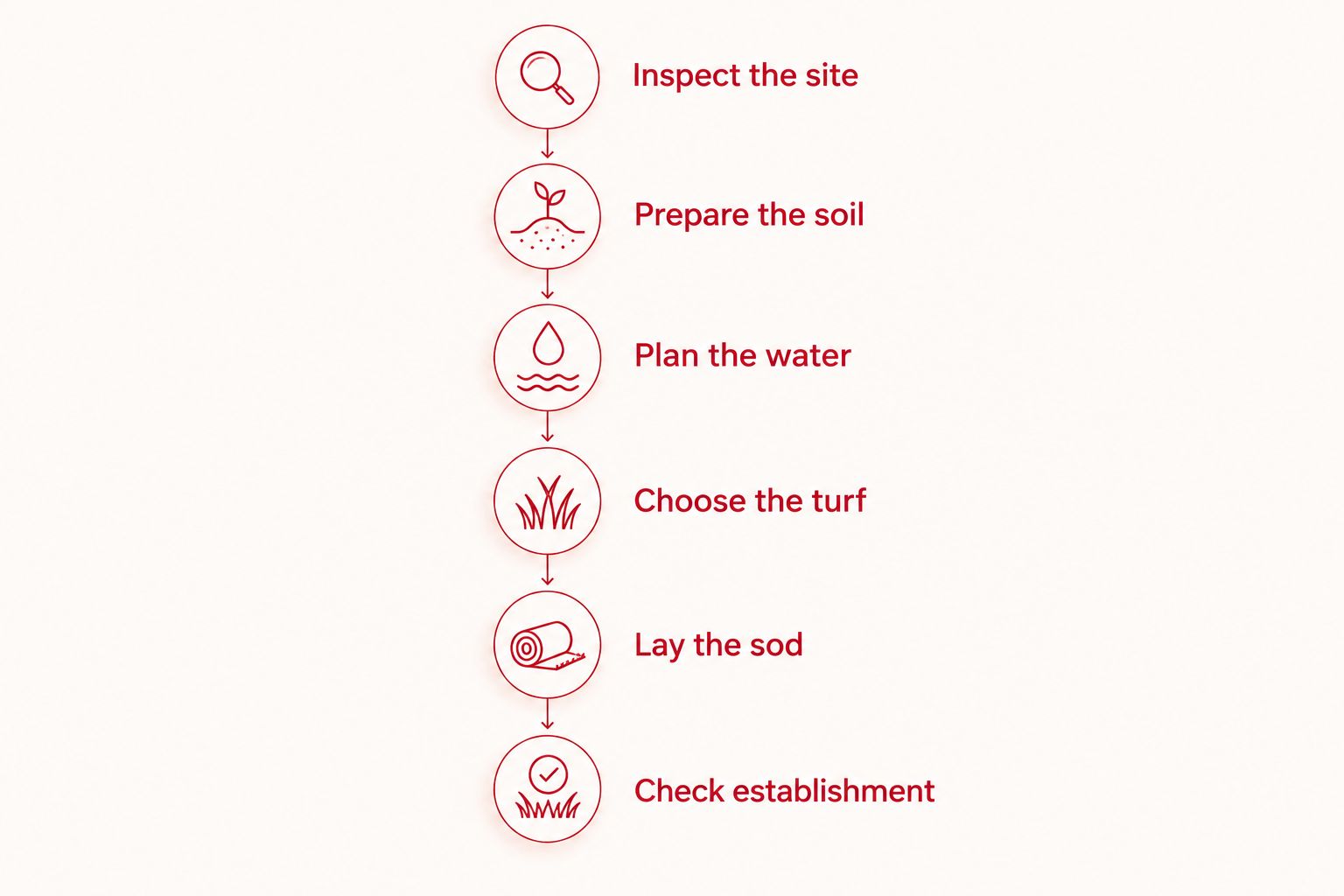 Six stages of sod installation, from site inspection through checking establishment