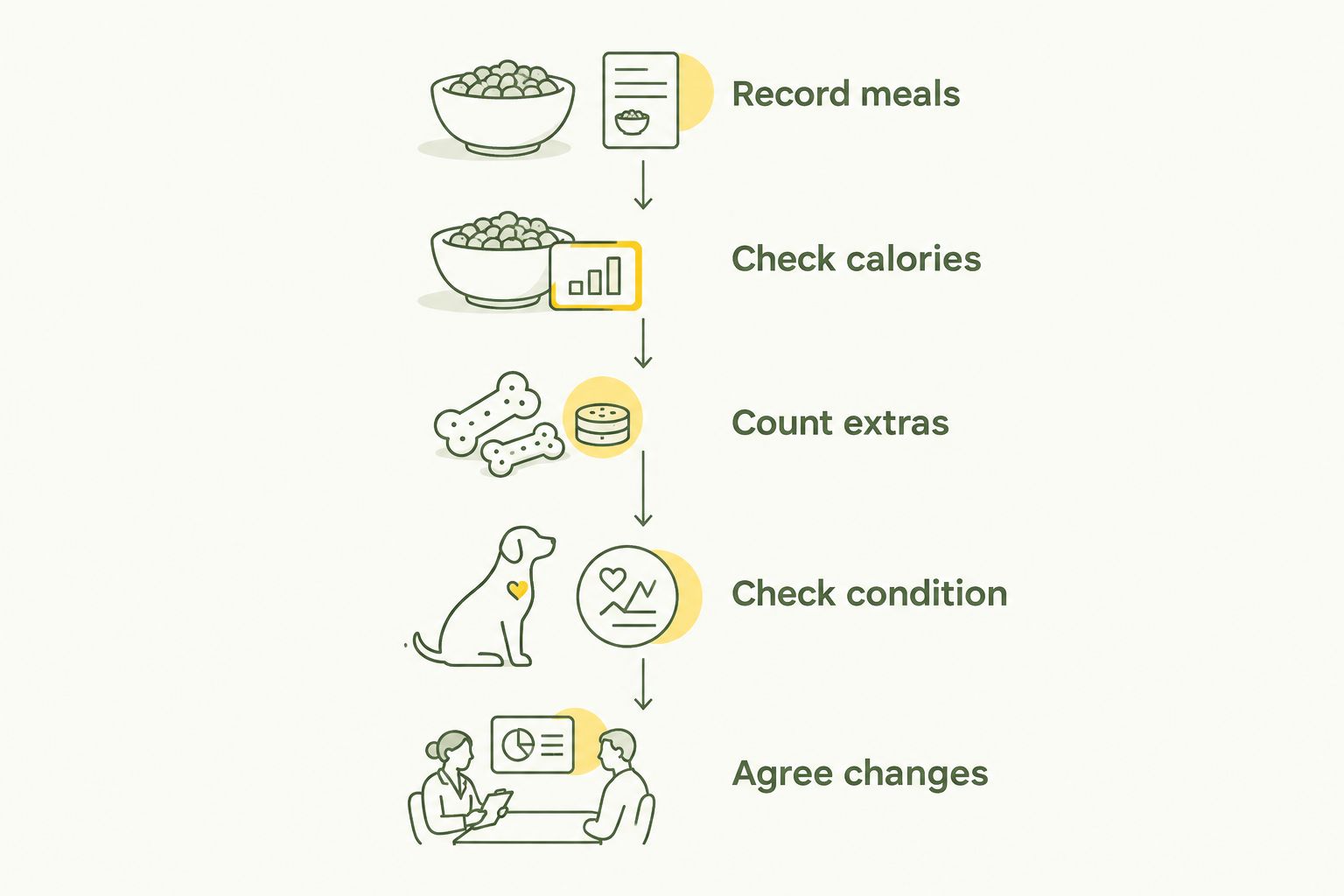 Five steps for reviewing meals, calories, extras, body condition and feeding changes