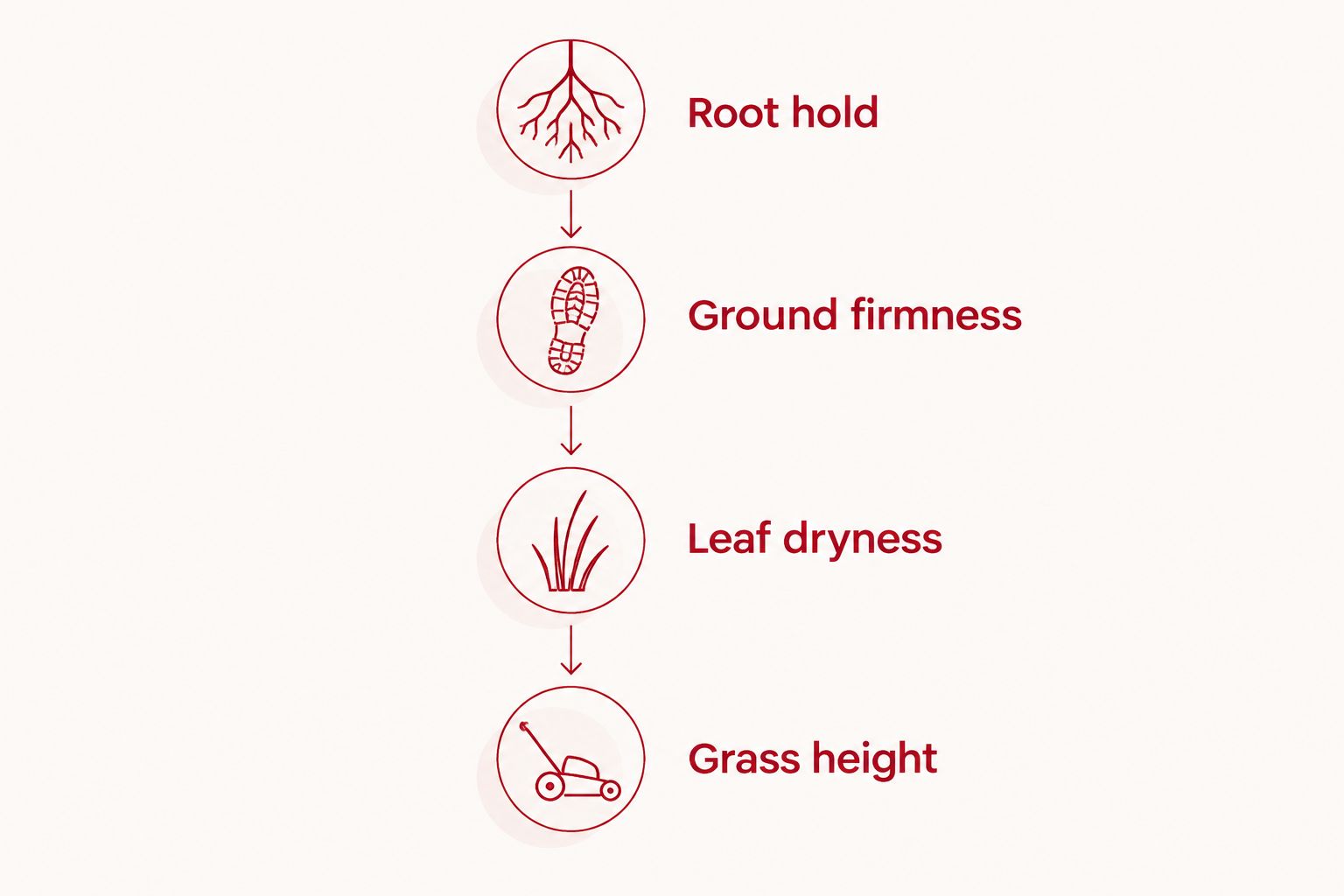 Four checks for mowing new sod: root hold, ground firmness, leaf dryness, and grass height.