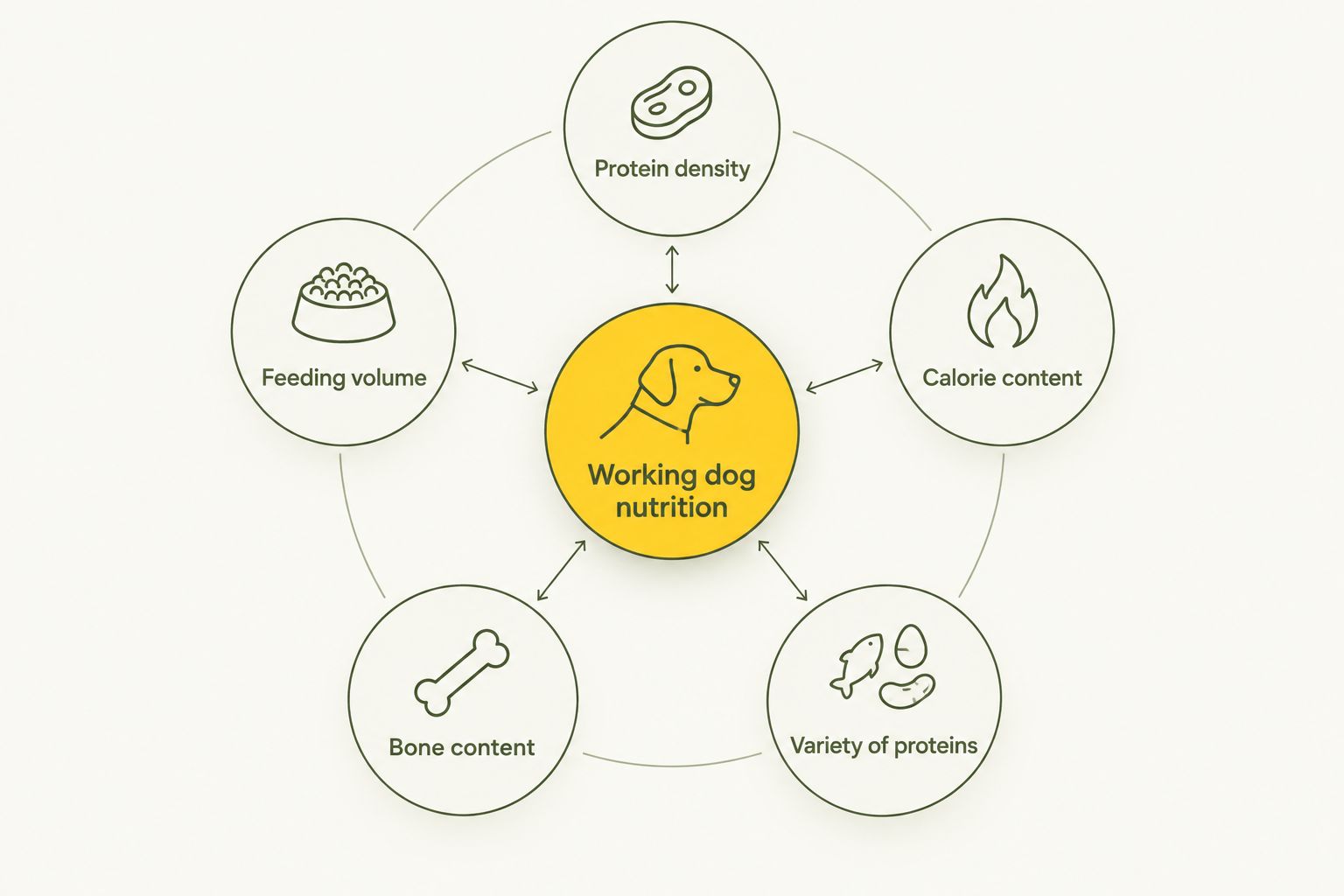 Diagram of five criteria for ranking raw dog food for working dogs