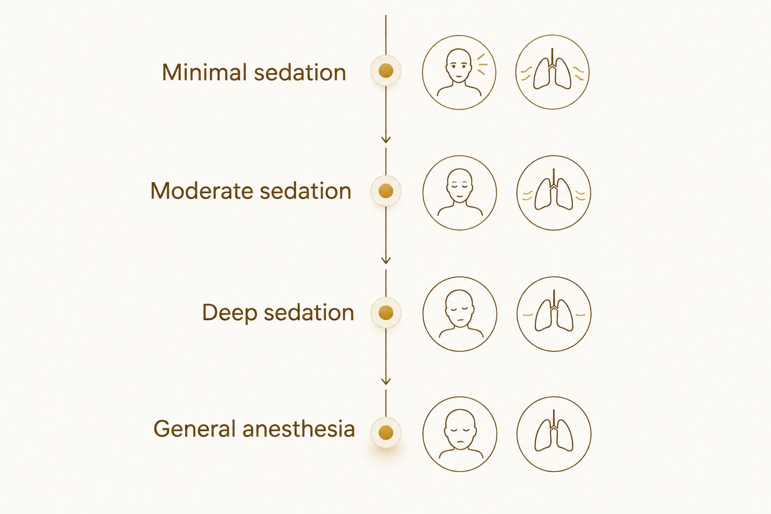 Four levels of sedation, from minimal sedation to general anesthesia
