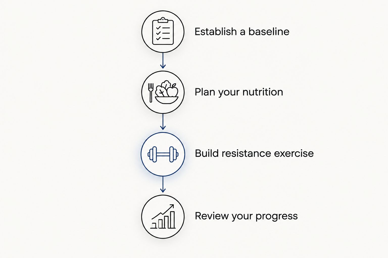 Four stages of supporting muscle health during medical weight loss