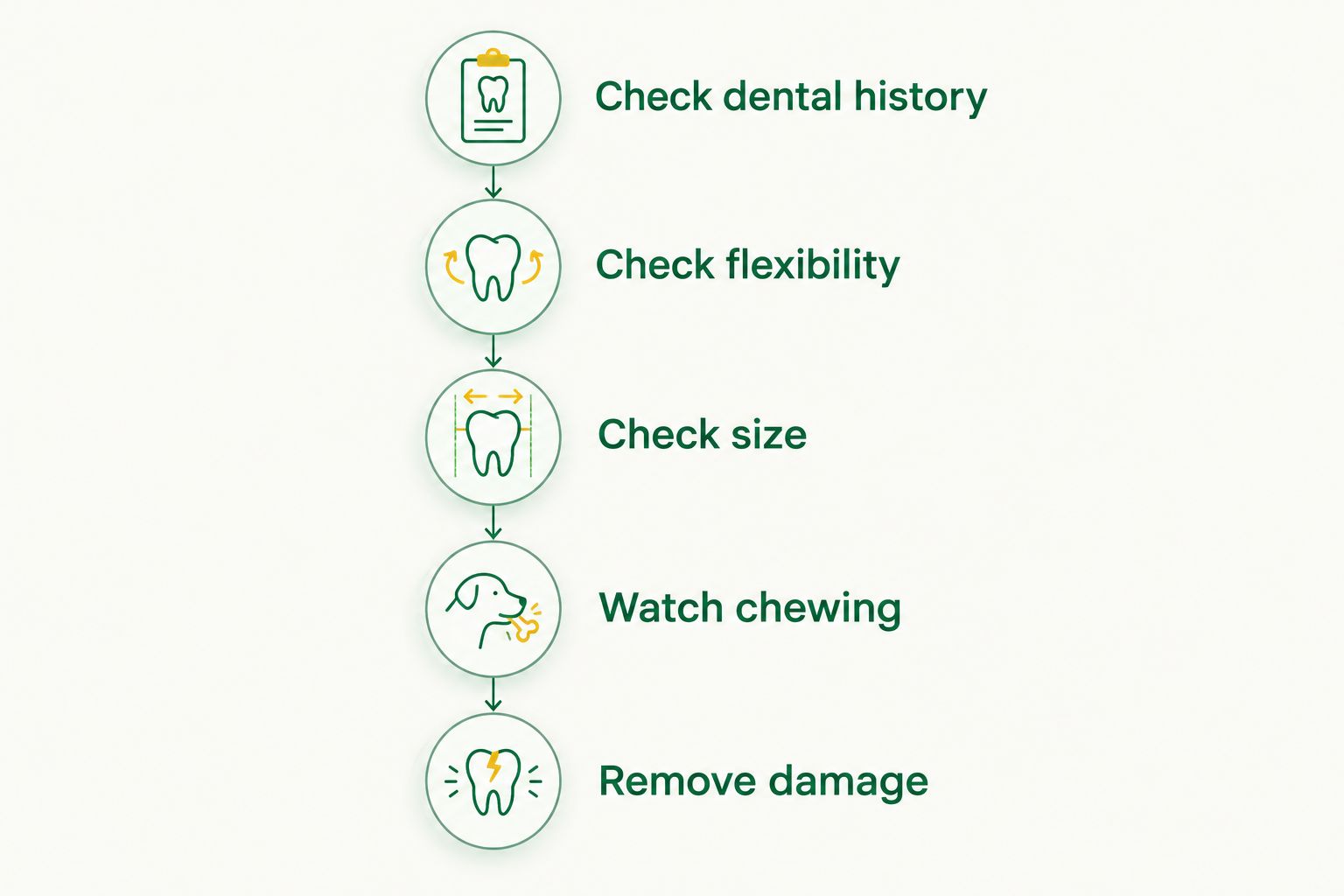 Chew-selection steps covering dental history, flexibility, size, chewing behavior, and damage