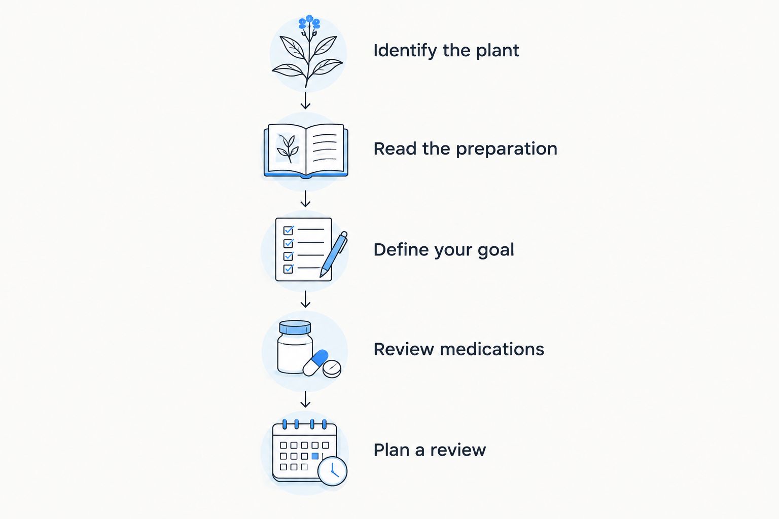 Five checks before taking cat's claw, from identifying the plant to planning a review.