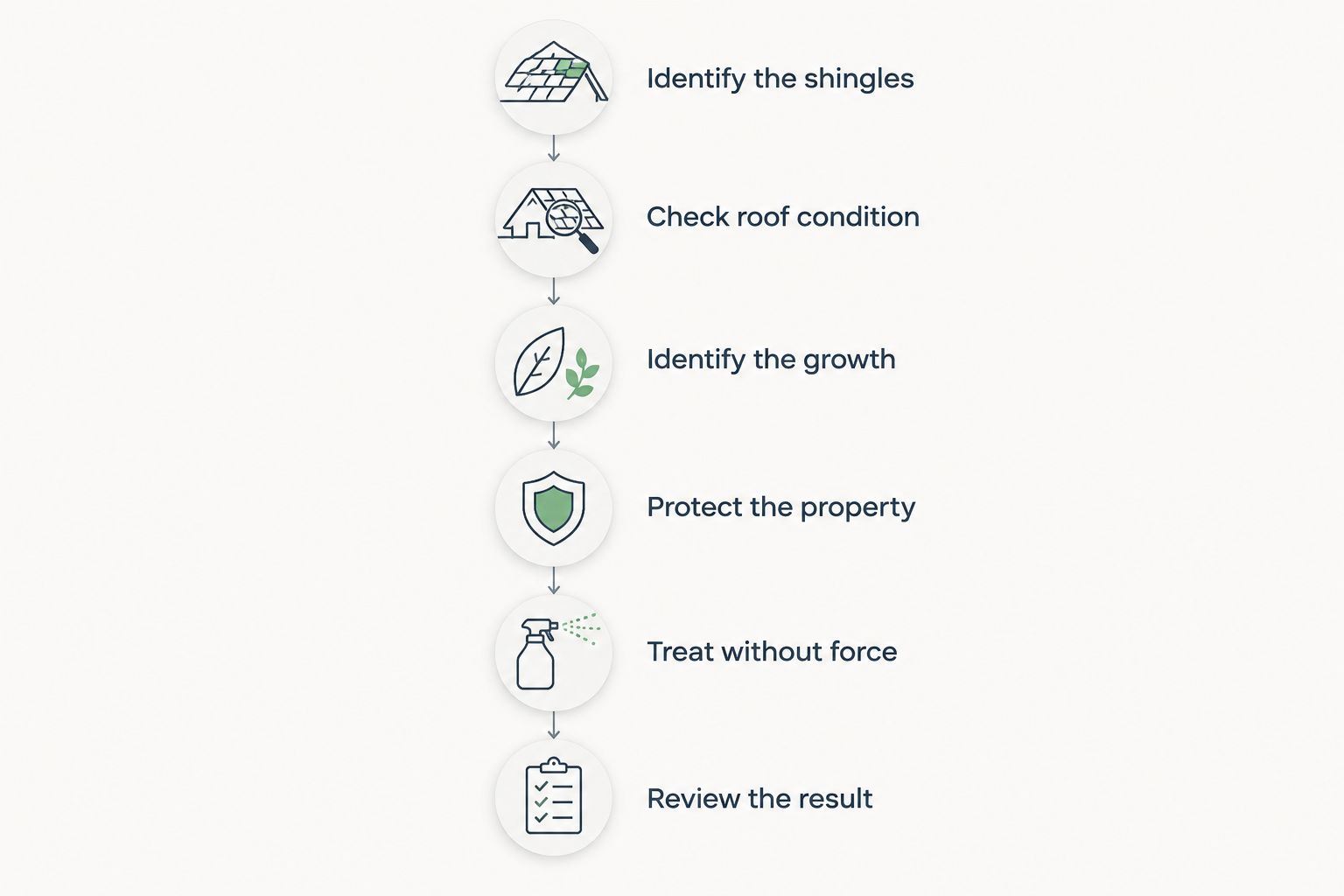 Roof-cleaning sequence from identifying shingles to reviewing treatment results