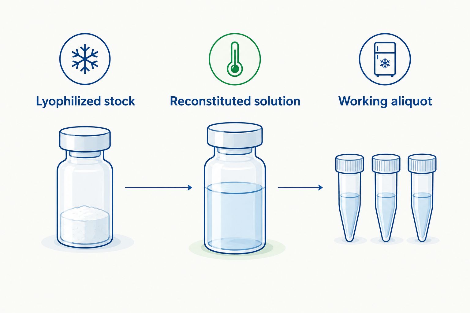 Diagram comparing storage zones for lyophilized stock, reconstituted solution, and working aliquots