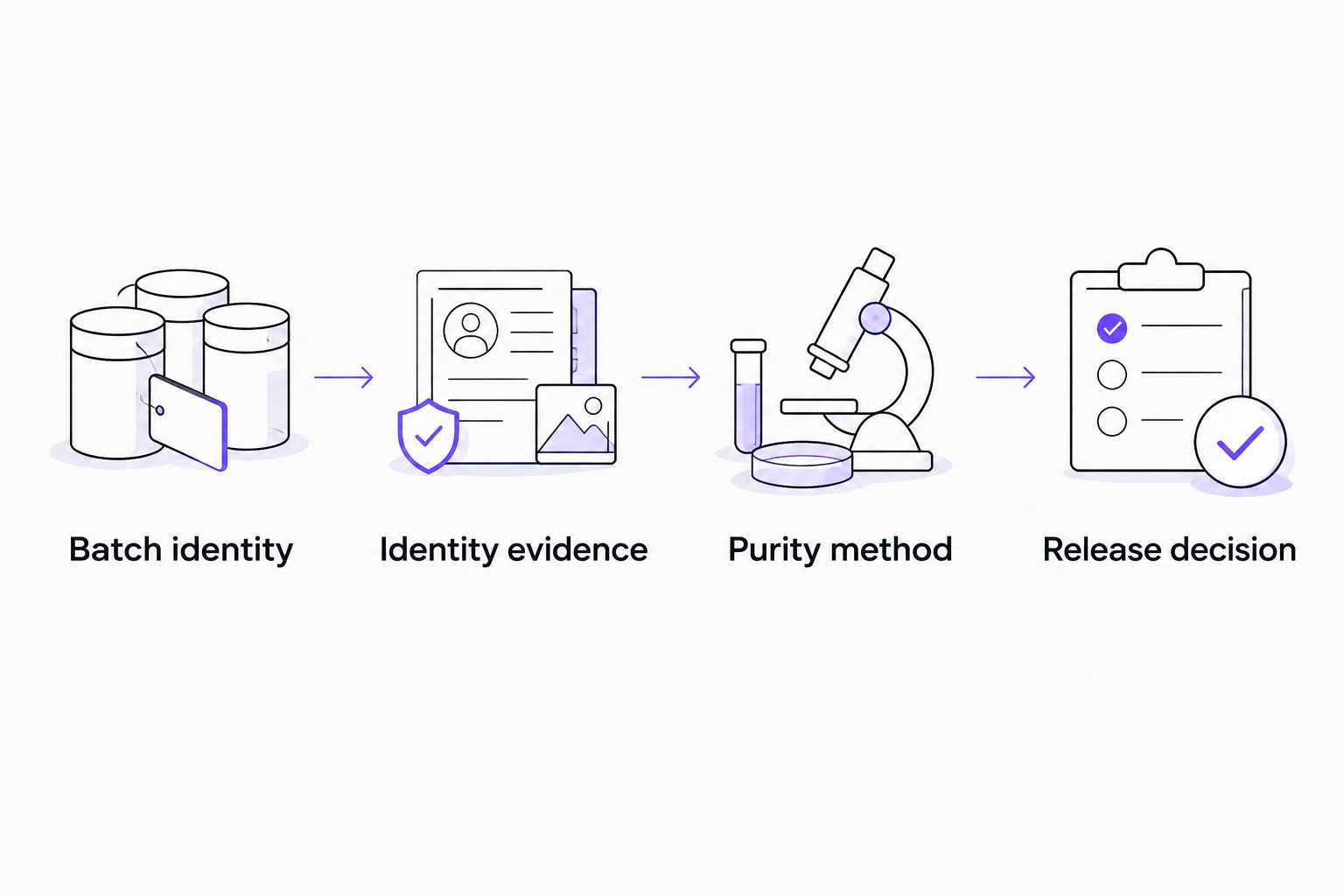 Analytical record workflow from batch identity through the laboratory release decision