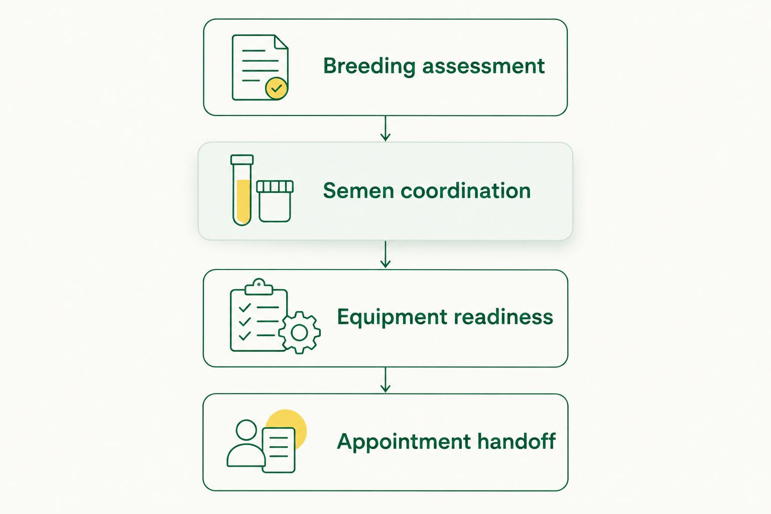 Four planning stages from breeding assessment to the veterinary appointment handoff