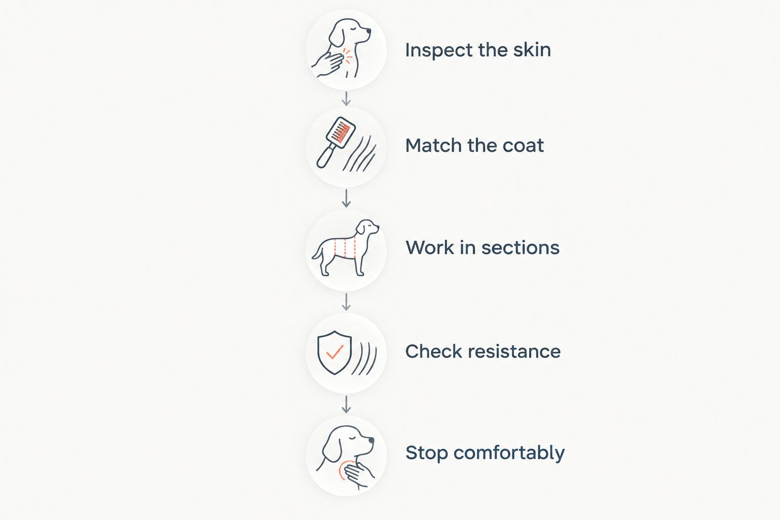 Five steps for matching a grooming tool to the coat and stopping when brushing becomes uncomfortable.